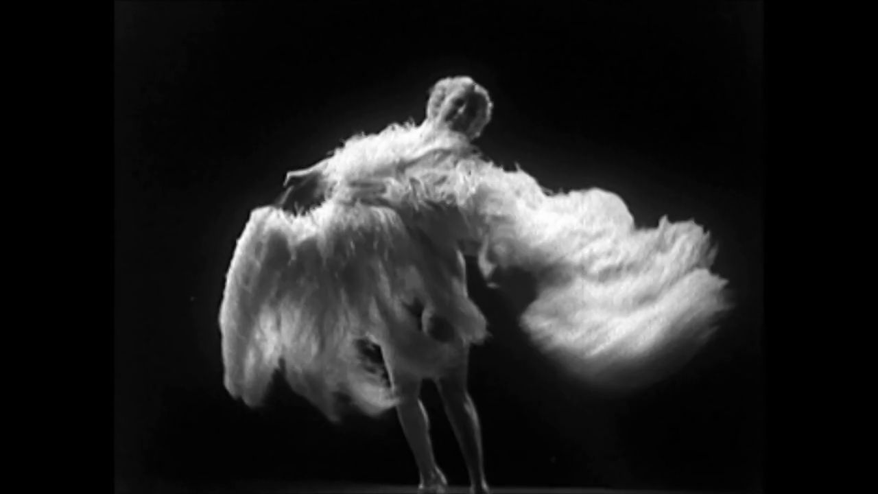 lulu gay by wallace stevens jpg lulu gay by wallace stevens