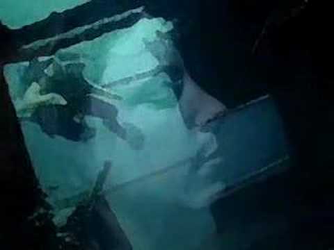 Diving into the wreck poem pdf picture